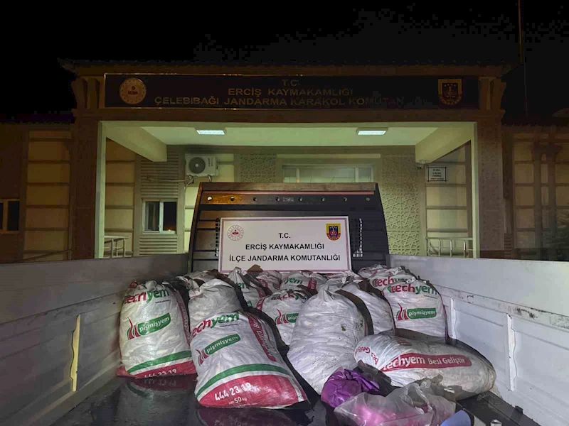 Van’da 3 aylık süreçte kaçak avlanan 78 ton inci kefaline el konuldu