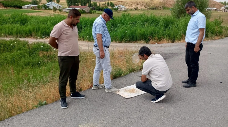 Muradiye