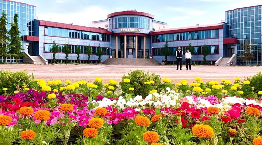 Van YYÜ 60 Akademisyen Alımıyla Güçleniyor: Detaylar ve Başvuru Şartları