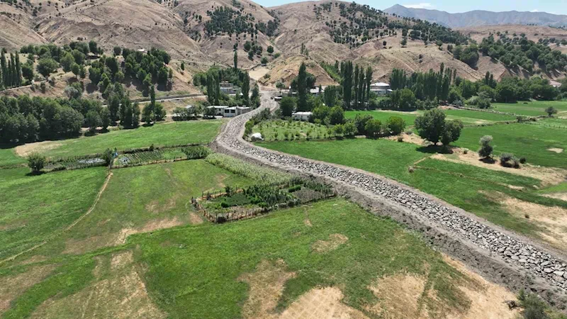 DSİ Genel Müdürü Balta: 