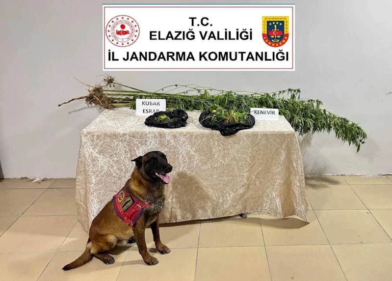 Elazığ’da uyuşturucuyla mücadele
