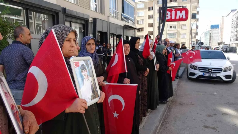 Vanlı anne: 