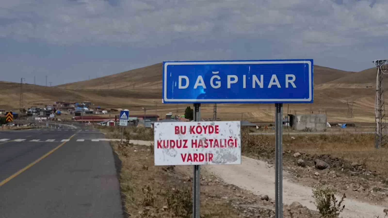 Kars’ta kuduz vakası: Bir belde karantinaya alındı
