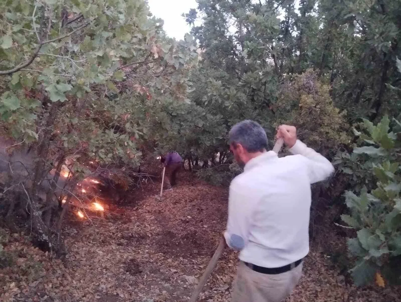 Elazığ’da ağaçlık alanda yangın
