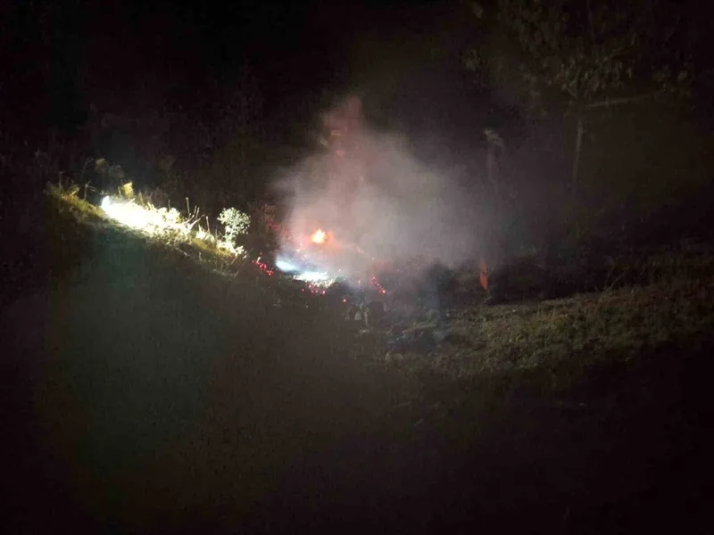 Bingöl’de çıkan yangın söndürüldü
