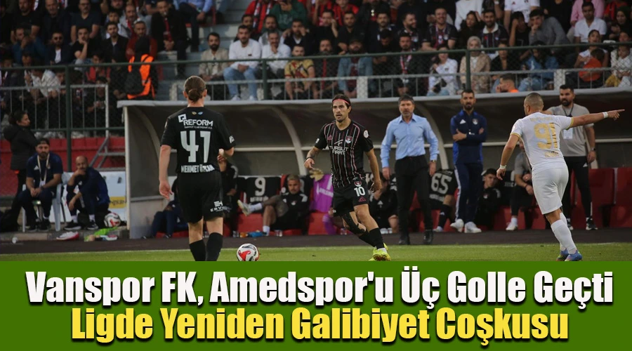 Vanspor FK, Amedspor