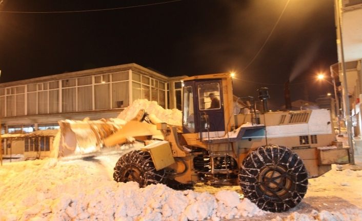 Ahlat Belediyesinden karla mücadele çalışması