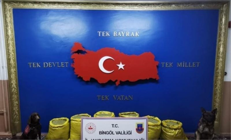 Bingöl’de İl Jandarma Komutanlığı 3 operasyonda 664 kilo uyuşturucu ele geçirildi
