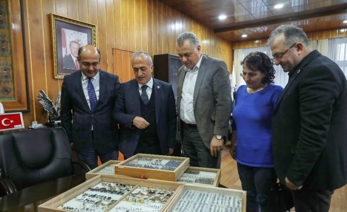 Biyoçeşitlilik müzesi, doğal varlıklara ev sahipliği yapacak