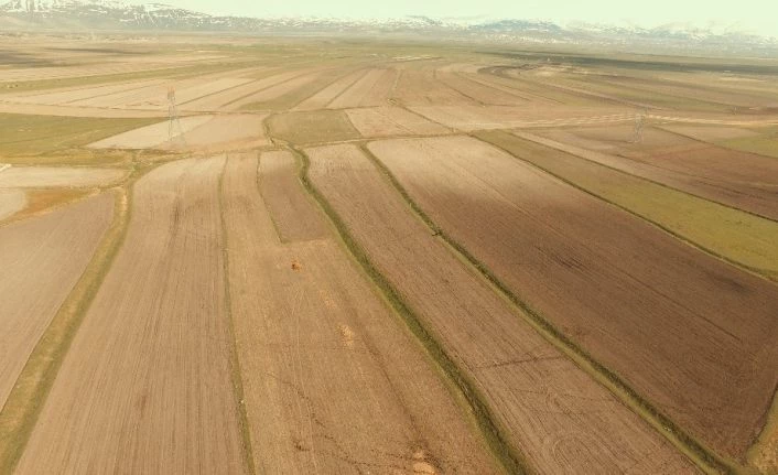 Erzurum, Ağrı ve Erzincan’da toplulaştırma çalışmaları devam ediyor