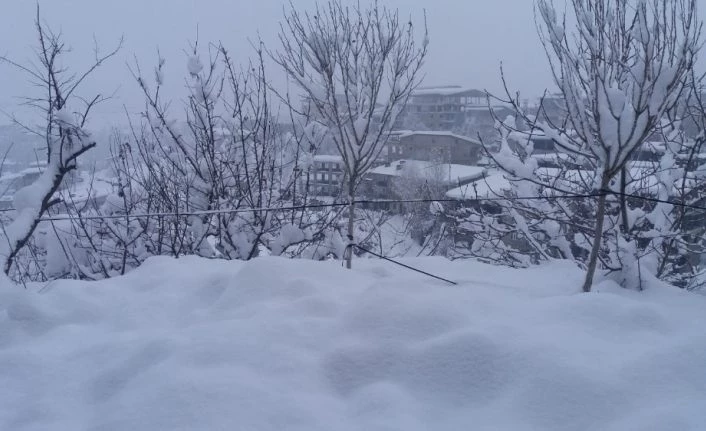 Hakkari’de 259 yerleşim yeri ulaşıma kapandı