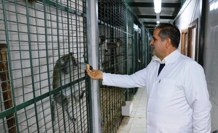 Hayvanat bahçesinde özel kış menüsü