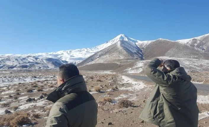 Iğdır’da kaçak ava geçit yok