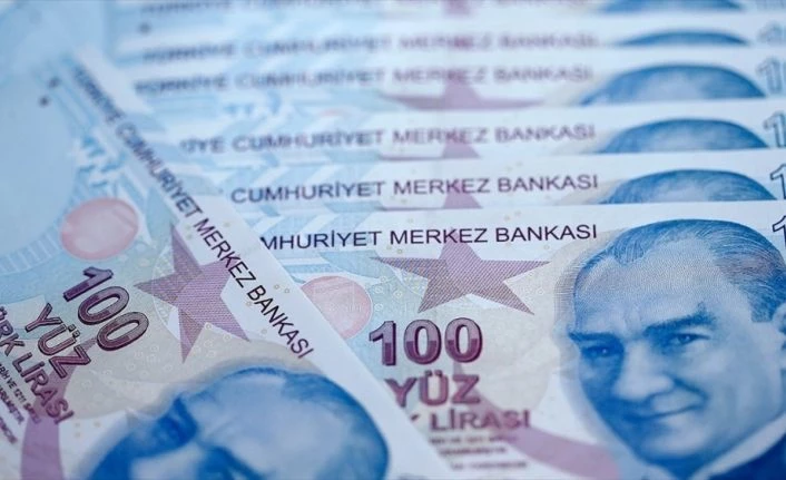 Kamu bankaları 2020