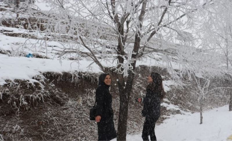 Kırağı tutan ağaçlardan kar yağdırdılar