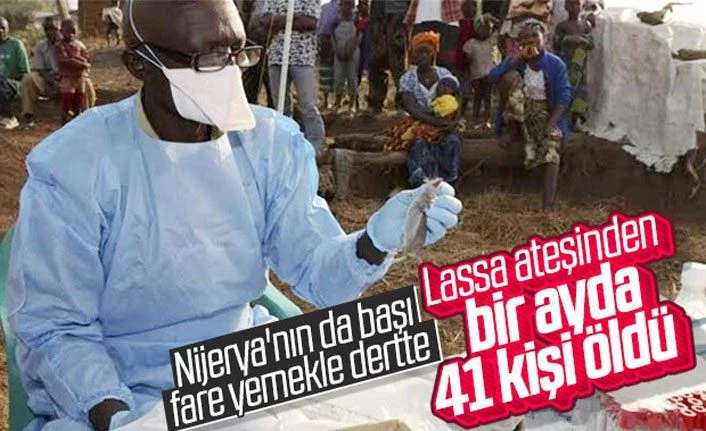 Nijerya'nın uğraştığı hastalık: Lassa ateşi