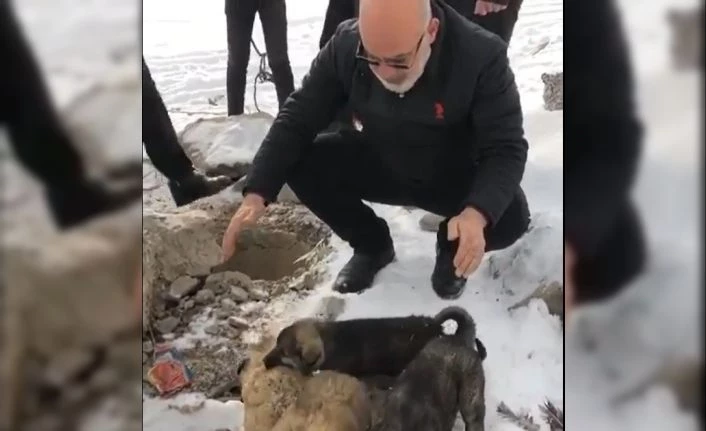 Su kuyusuna düşen yavru köpekleri itfaiye ekibi kurtardı