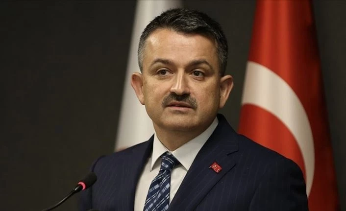Tarım ve Orman Bakanı Pakdemirli: Kıbrıs isale hattında kopukluk gözlemlendi