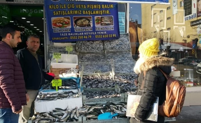 Tatvan’da denetimler devam ediyor