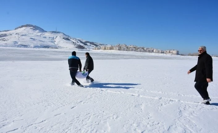 Van Tuşba Belediyesi, yaban hayvanları için doğaya yem bıraktı