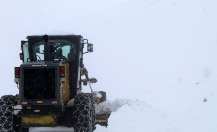 Bingöl’de kar 254 köy yolunu ulaşıma kapattı