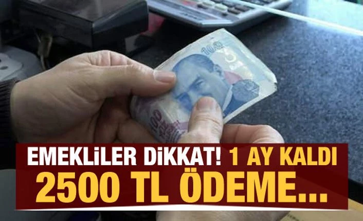 Emekliler dikkat! 1 ay kaldı, 2500 TL ödeme...
