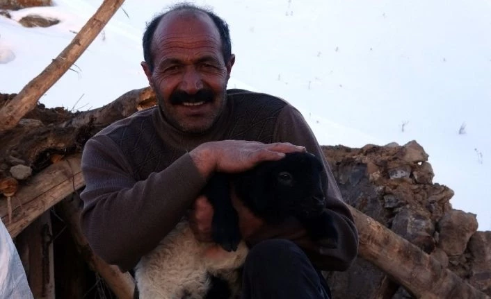 Enkazdan 4 gün sonra canlı çıkarılan kuzuya sevgi öpücüğü