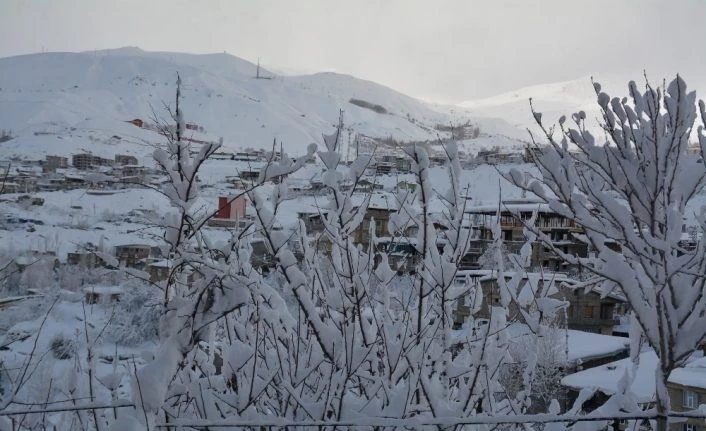 Hakkari’de 271 yerleşim yeri kapandı