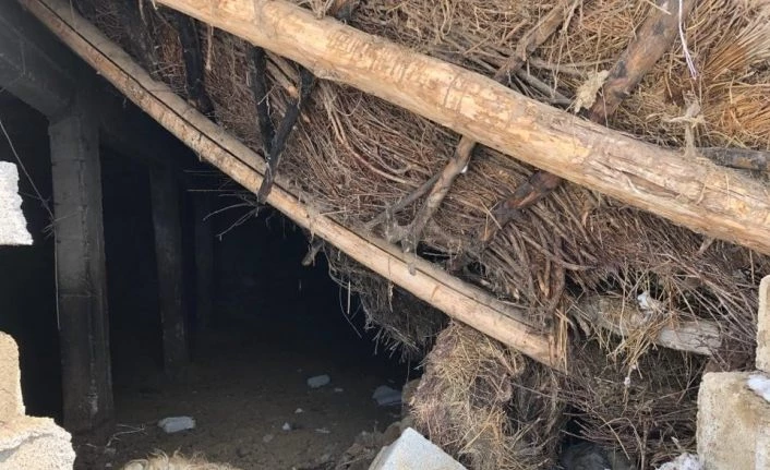 Kar ağırlığına dayanmayan ahır çöktü: 12 koyun telef oldu