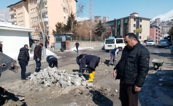 Kar, Hakkari altyapısına büyük zarar verdi