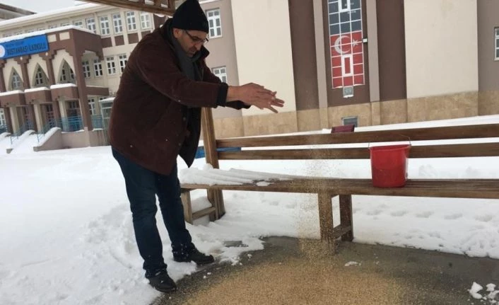 Karda aç kalan kuşlar için doğaya yem bırakıldı