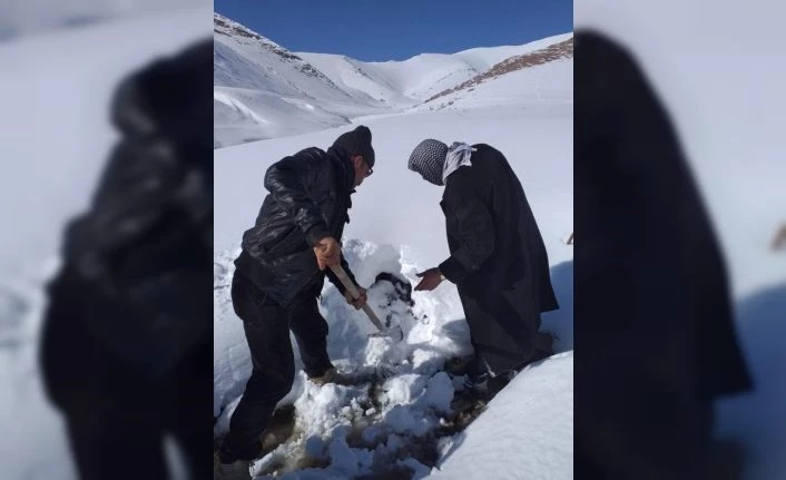 VASKİ'den karlı dağlarda içme suyu mesaisi