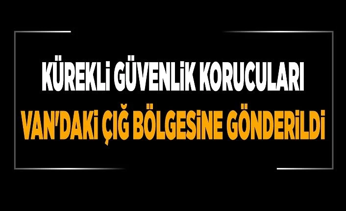 Kürekli güvenlik korucuları Van'daki çığ bölgesine gönderildi
