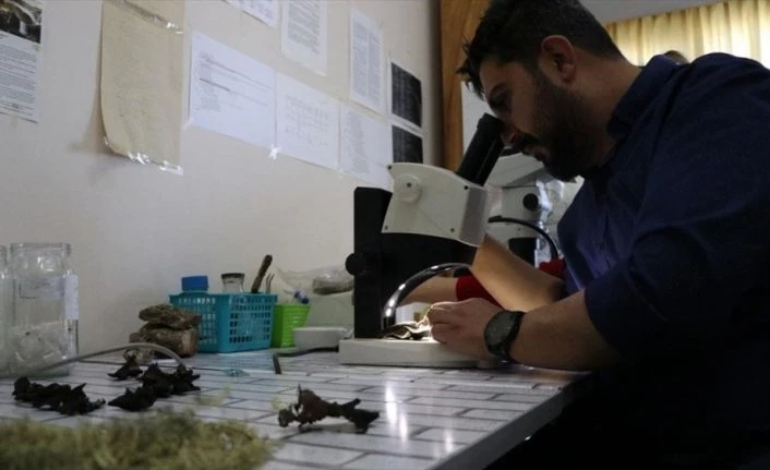 Prof. Dr. Gökhan Halıcı: İklim değişikliği Antarktika