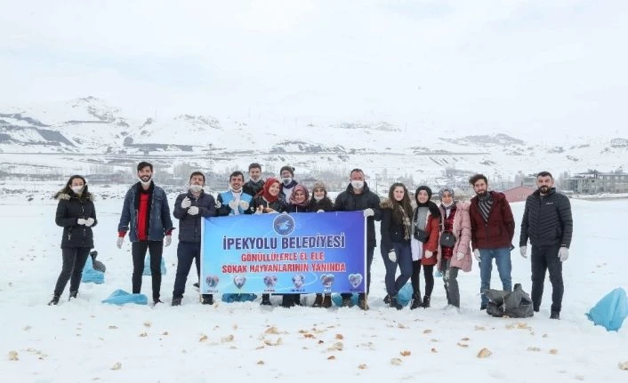 Sokak hayvanları İpekyolu’nda sahipsiz kalmıyor