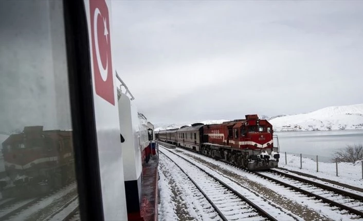 TCDD 