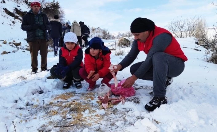 Tunceli’de yaban hayvanları için doğaya yem bırakıldı