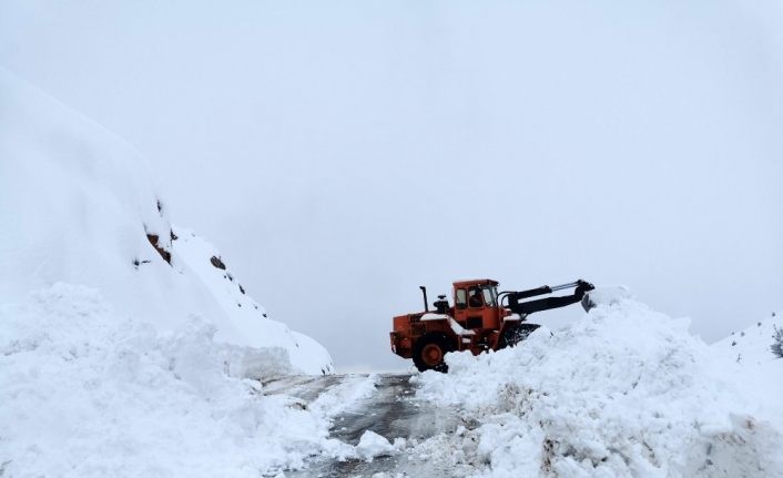 Tunceli’de yoğun kar yağışı, 224 köy yolu kapandı