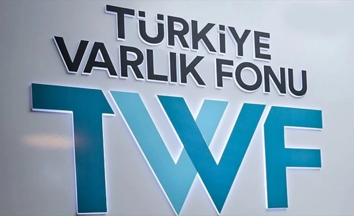 Türkiye Varlık Fonu, Ortak Kartlı Sistemler AŞ