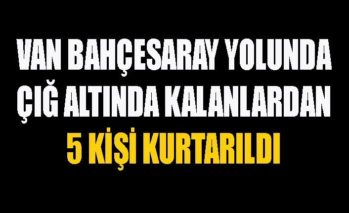 Van Bahçesaray yolunda çığ düşen minibüste 5 kişi sağ olarak kurtarıldı