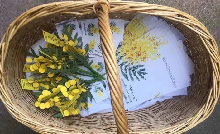 Ada mimozası tescil yolunda