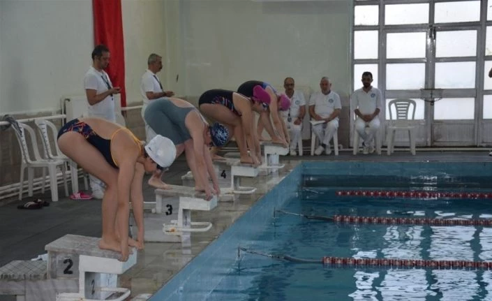 ANALİG yüzme yarışları