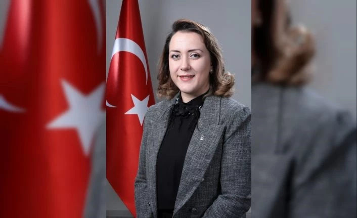Çelik: “Özkoç’un yaptığı eleştiri değil, edepsizlik”