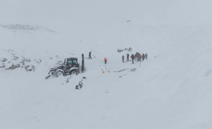 Çığ bölgesinde arama çalışmaları yeniden başladı