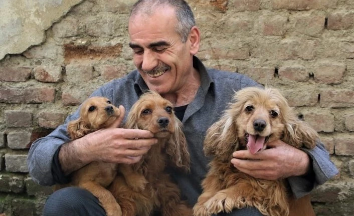 Depremzedenin köpek sevgisi, onlardan ayrılamıyor