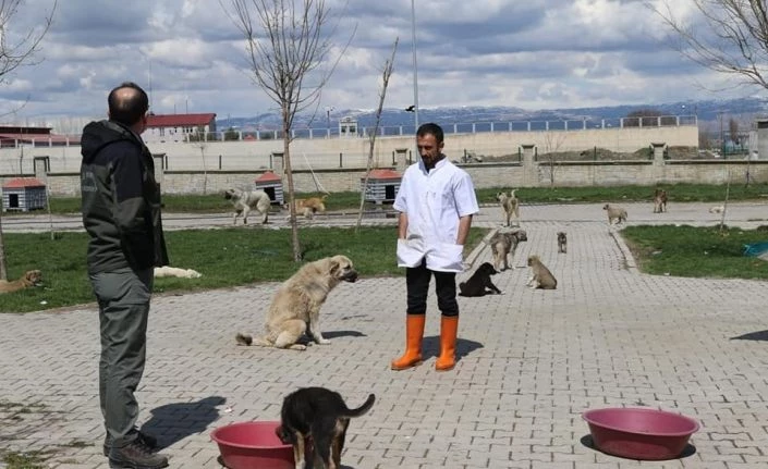 DKMP Muş Şubesi tarafından hayvan barınakları denetlendi