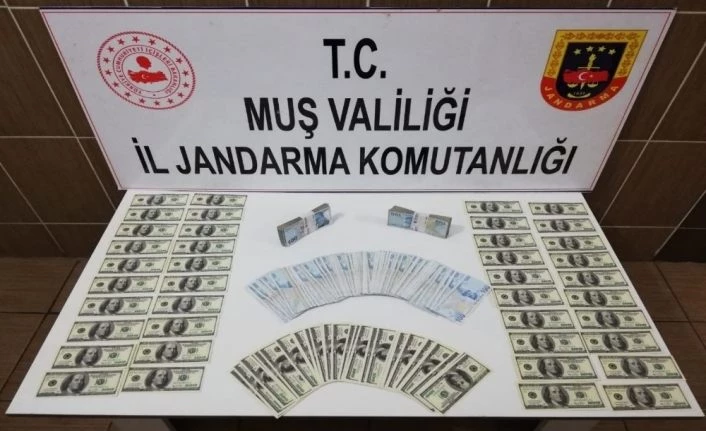 Jandarmadan kalpazanlara operasyon