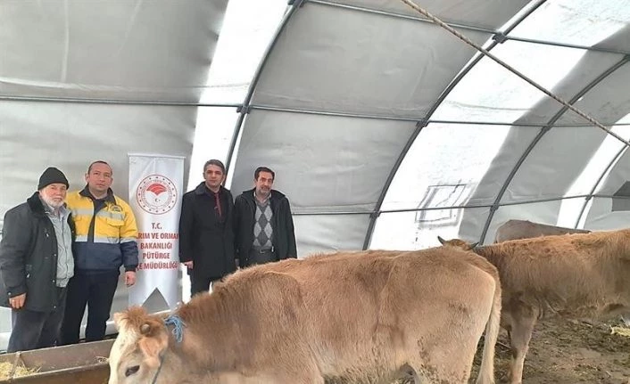 Malatya’da, 93 çiftçiye 552 baş damızlık düve alımı desteklemesi
