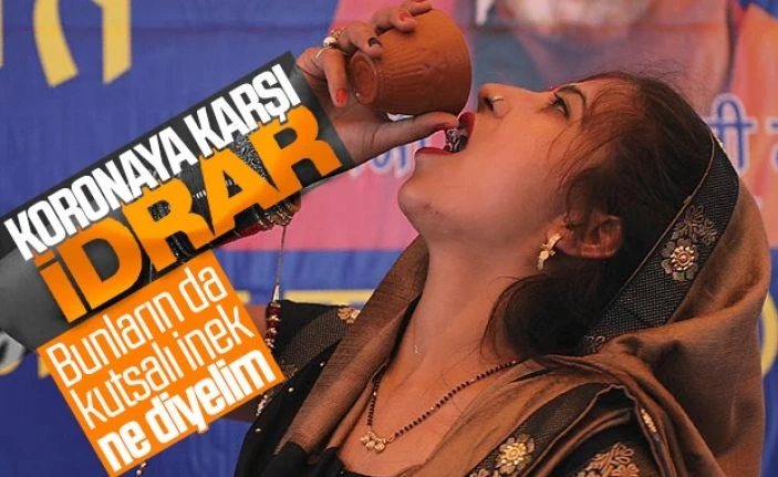 O halk koronadan korunmak için inek idrarı içti