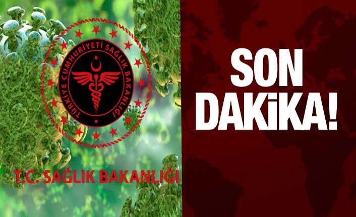 Sağlık Bakanlığı korona virüsü kurallarını internetten canlı yayınlanacak